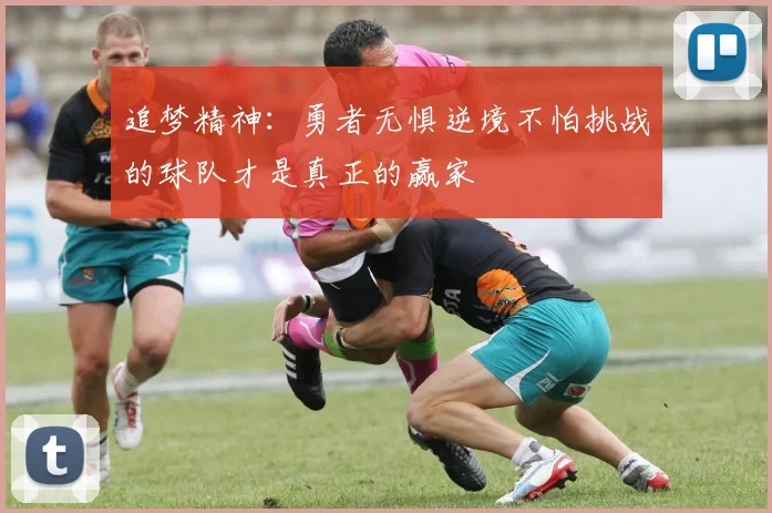 追梦精神：勇者无惧逆境不怕挑战的球队才是真正的赢家