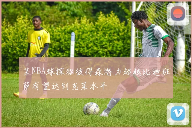 某NBA球探称彼得森潜力超越比迪班萨有望达到克莱水平
